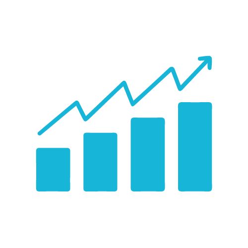 500+ Successful Cases